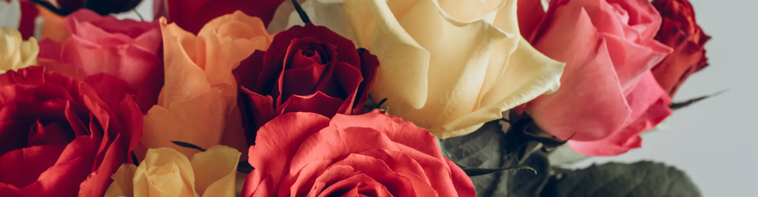 Memorial background